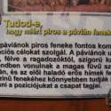 Állatkert-Bográcsozás 2009.05.01.