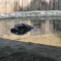 Állatkert-Bográcsozás 2009.05.01.
